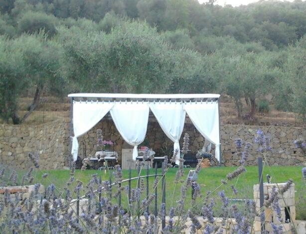 Bed and Breakfast La Cicala Stonata Dolceacqua Exterior foto