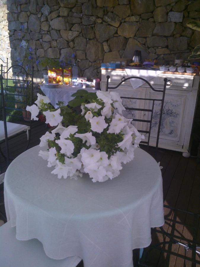 Bed and Breakfast La Cicala Stonata Dolceacqua Exterior foto