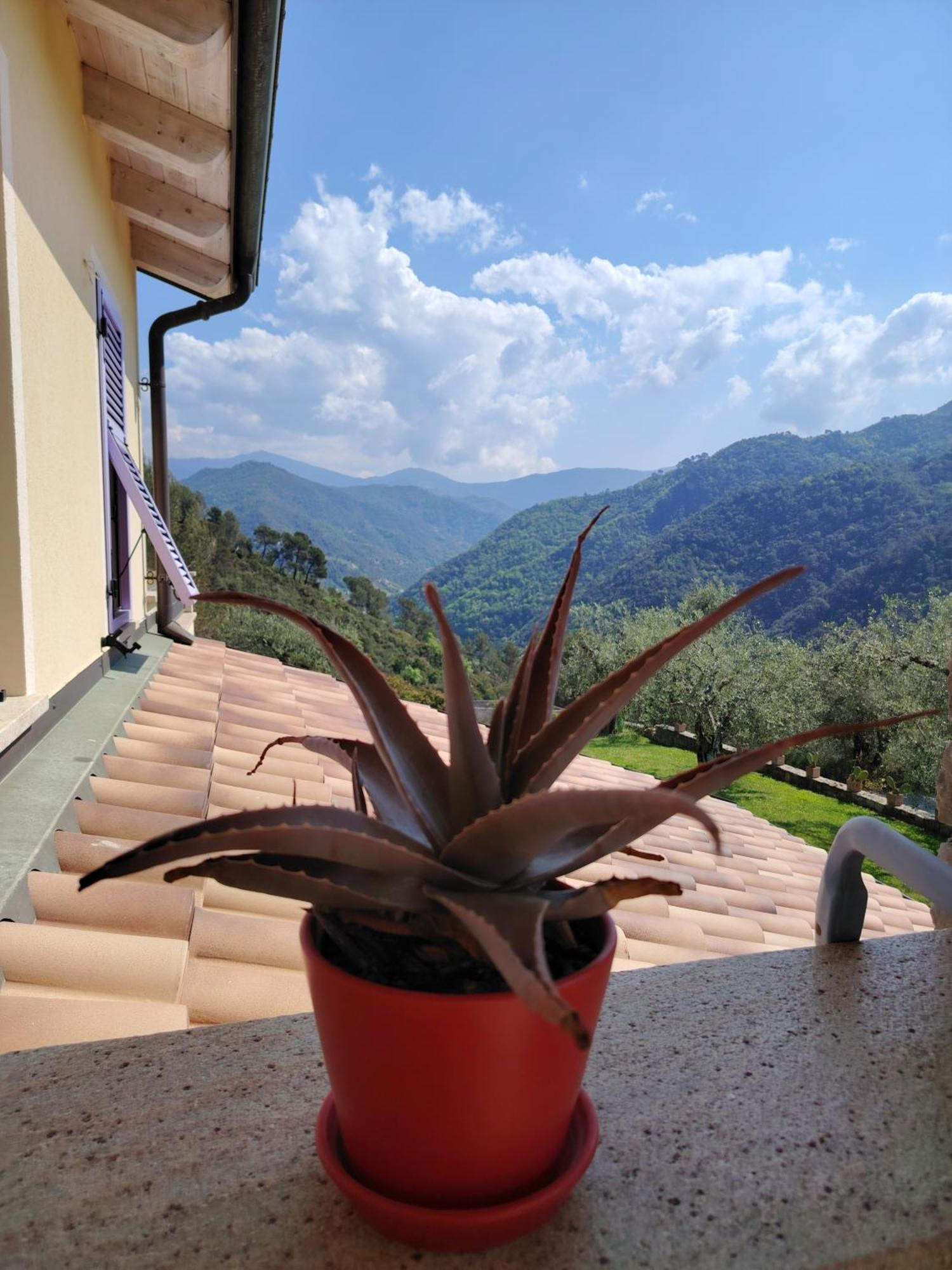 Bed and Breakfast La Cicala Stonata Dolceacqua Exterior foto